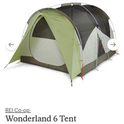 REI Tent