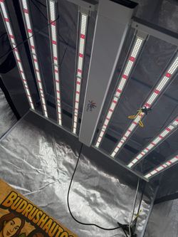 Grow Lights Best Grow