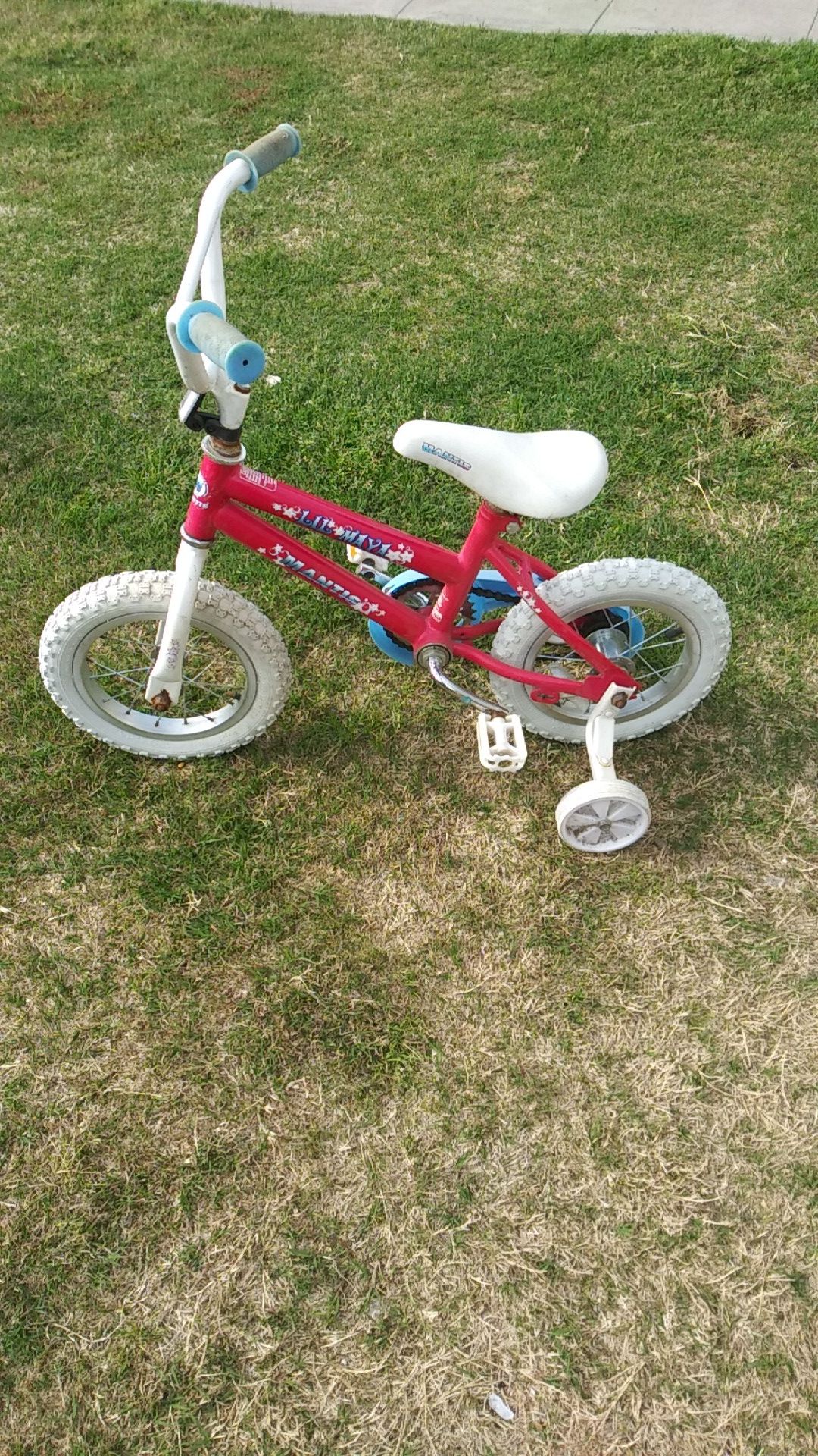 Girls 12" bike