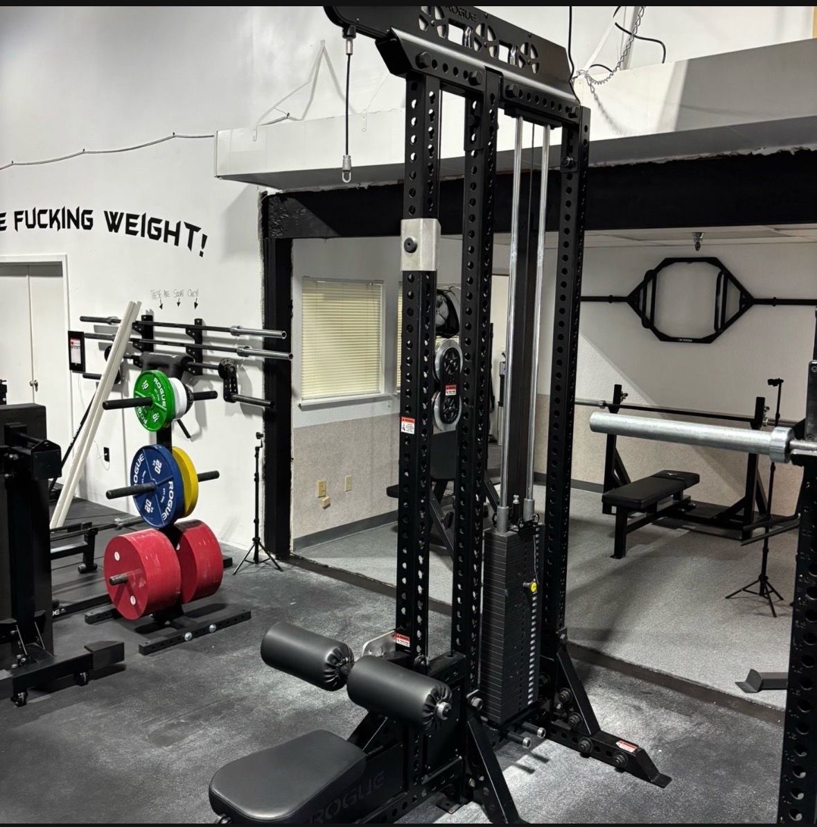 Rogue Lat Pulldown