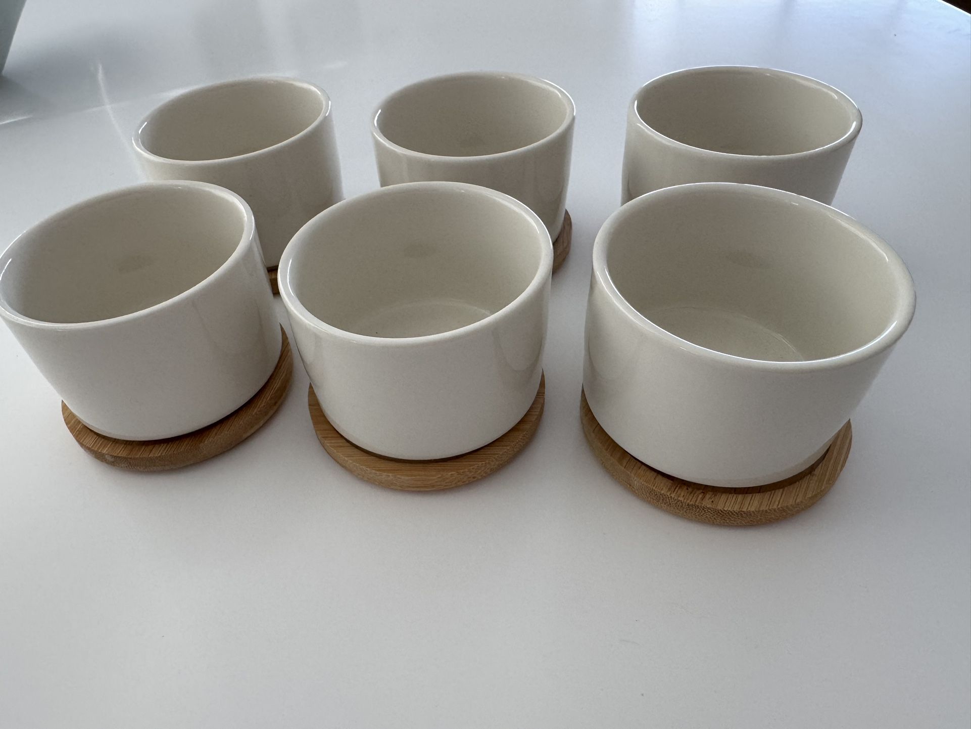 Set Of 6 Succulent Planters NEW