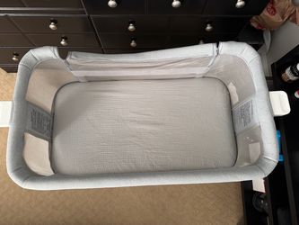Newton Baby Bassinet and Bedside Sleeper
