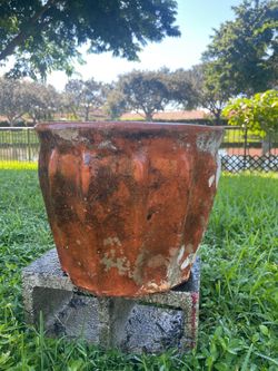 Large terracotta pot.