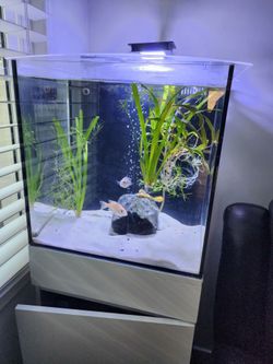 Glass Fish Tank Aquarium with LED Light