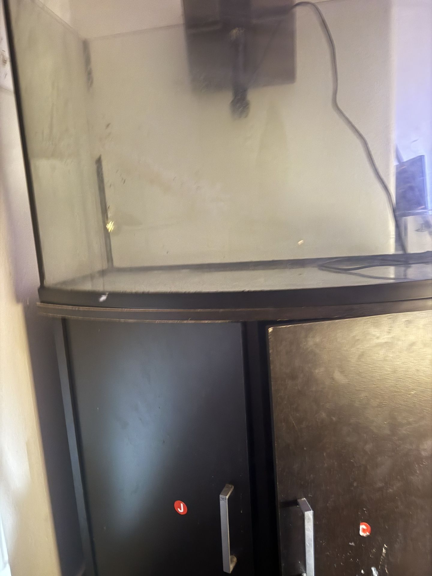 Fish Tank Needed Gone