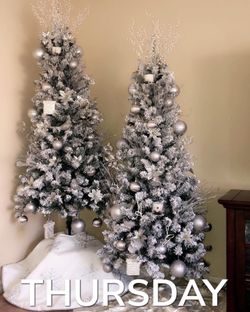 Two Christmas Trees ($60 ) For Both 