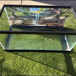 40 Gallon Fish Tank With Background 