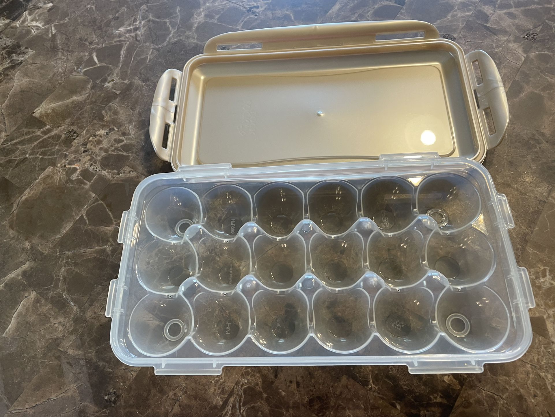 Egg Container