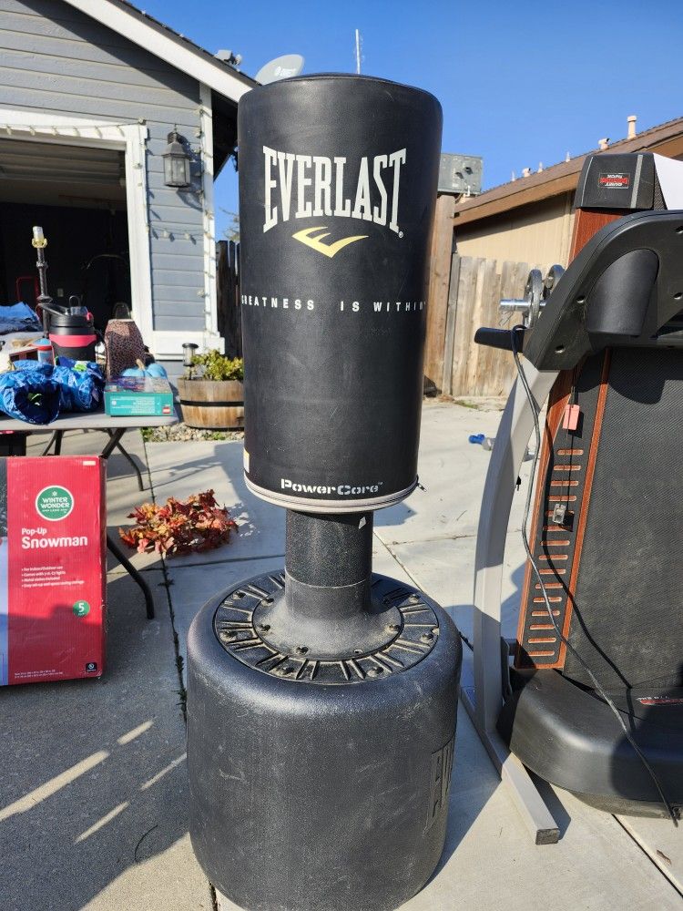 Everlast Free Standing Punching Bag
