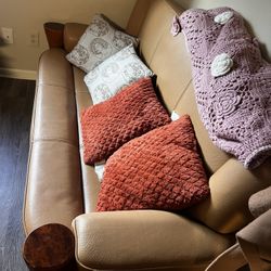 Brown leather Couch