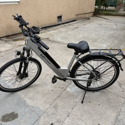 Go Power Electric Bicycle 