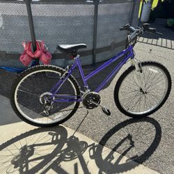 Dynacraft northridge 26inch rims woman’s mountain bike
