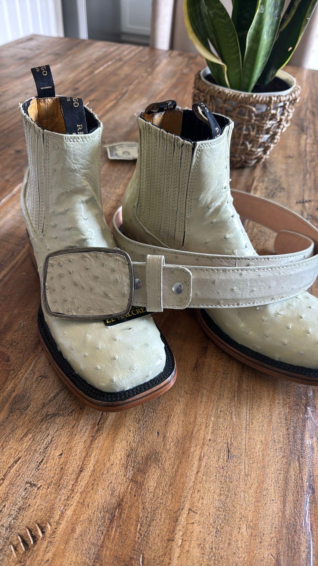 Ostrich Ivory Bone Color