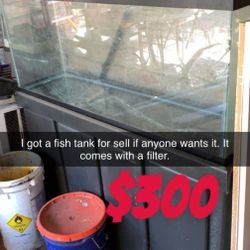 Fish Tank