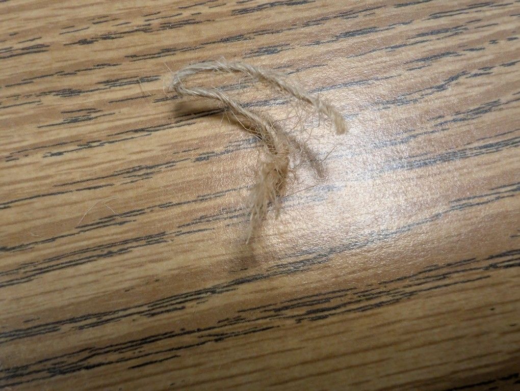 Trump's Hair