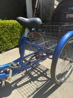 Schwinn Adult Tricycle