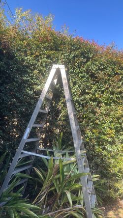10 Ft. Heavy Duty Step Ladder