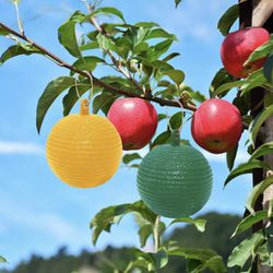 Fruit Fly Traps Sticky Traps, 2 PCS Gnat Traps Flying Insects Traps Ball for Indoor Outdoor House Kitchen Plants Trees Flying Insects（Yellow + Green） 