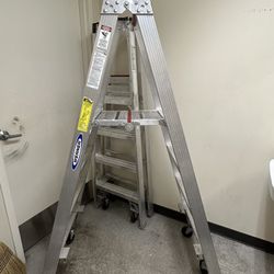 Werner Ladder 