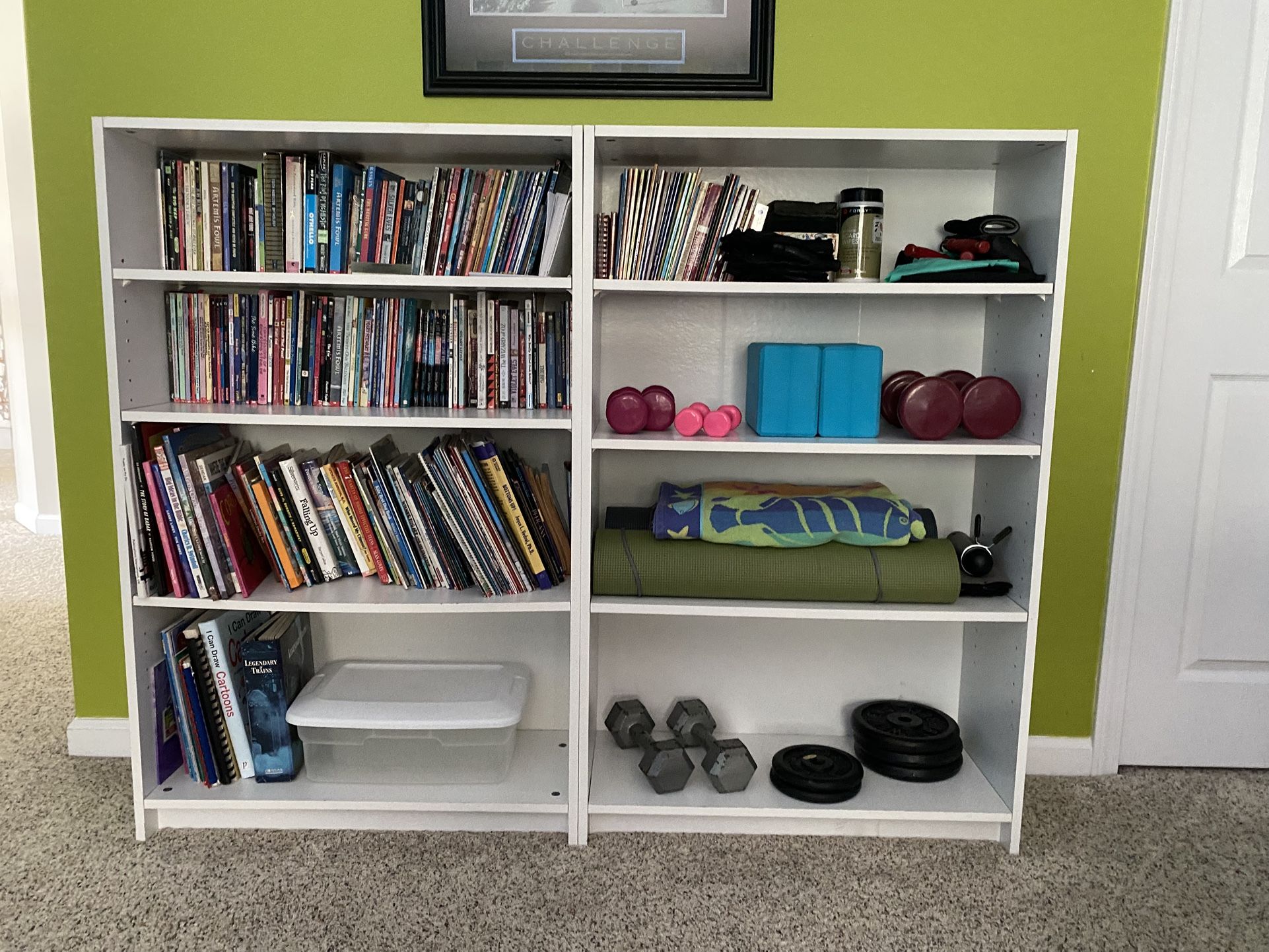 2- Book Shelves