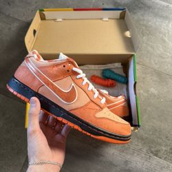 Nike SB Dunk Low Orange Lobster Size 10