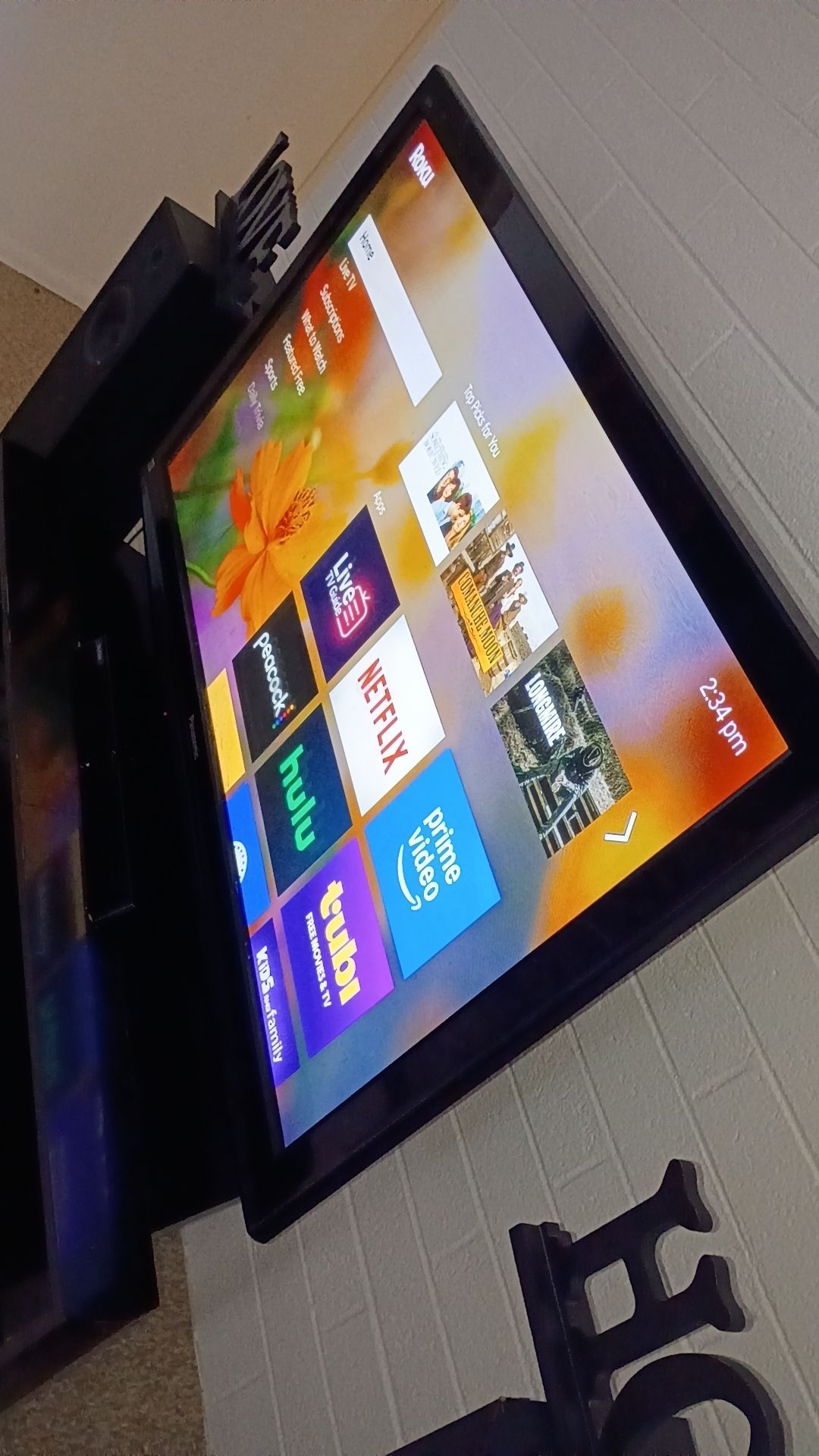 50 in plasma Panasonic Hdtv