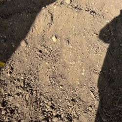 Top Soil Speading And Delivery 