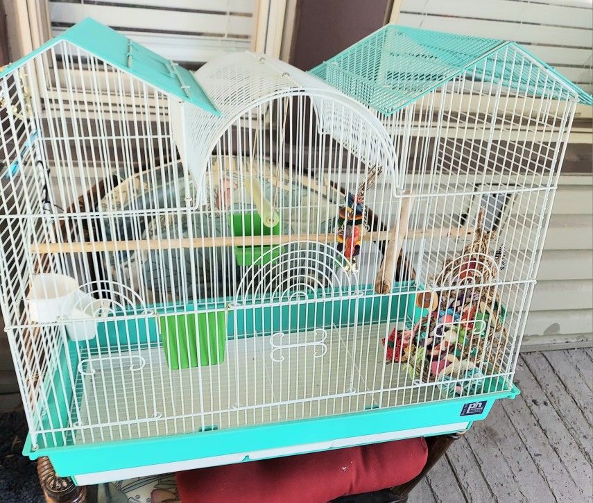 Bird Cage