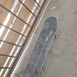 Skateboard