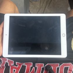 Ipad W Apple pen