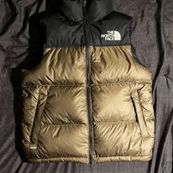the North face vest 