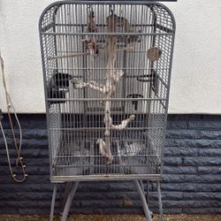 Bird Cage