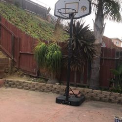 Free Basketball Hoop