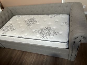 Twin day bed + pull-out trundle