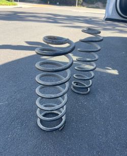 Back springs coils