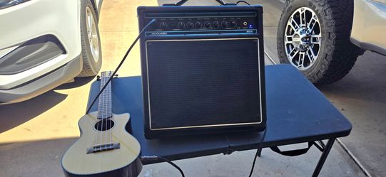 Acoustic AG30 Guitar Amplifier