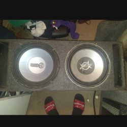 Two 12-in speakers imported box in good condition