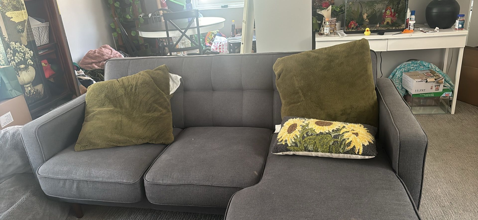 Gray fabric couch