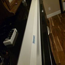 Stewart Filmscreen Motorized Projection Screen with Epson VPLFH65 Projector 