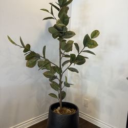Fake Plant / Tree With Pot Included 