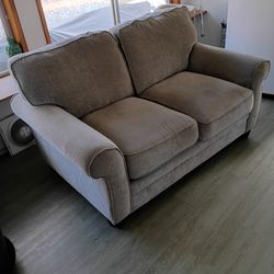 Love Seat Couch pet friendly