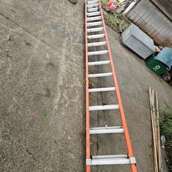 32ft Extension Ladder 
