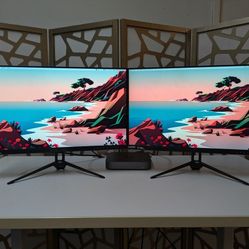 Dual 1080p / 165Hz Gaming Monitors