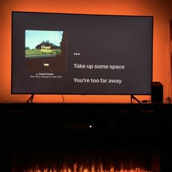 TV Stand/Electric Fire Place