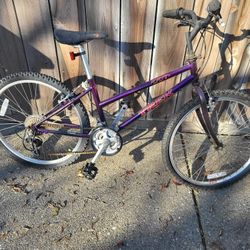 Trek Girls Bike