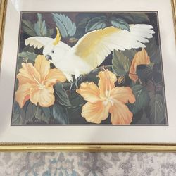 Jessie Arms Botke Cockatoo and Pink Hibiscus 