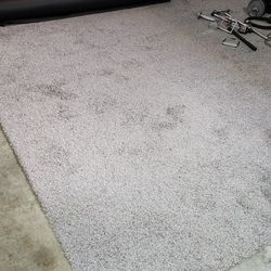 10x12 Carpet Remnant