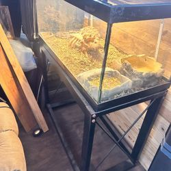 Bearded Dragon Tank