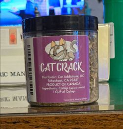 Cat Crack