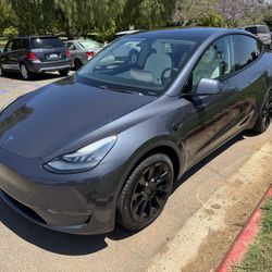 2020 Tesla Model Y
